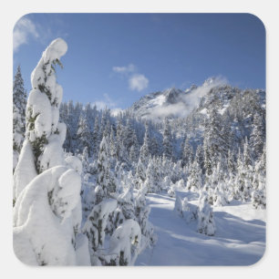 Sticker Carré WA, zone sauvage Alpine Lakes, bassin du lac Snow