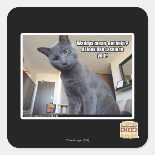 Sticker Carré Wadya veut dire "Obtenez de l'aide" ? (Devant)