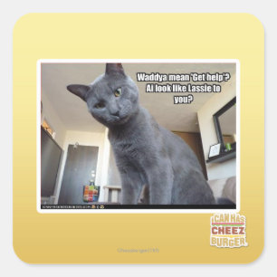 Sticker Carré Wadya veut dire "Obtenez de l'aide" ?