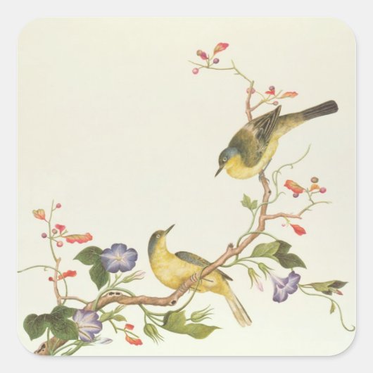 Sticker Carré Wagtail jaune avec tête bleue (Devant)
