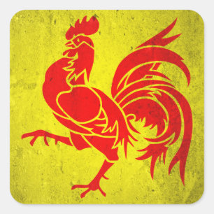 Sticker Carré Wallonie