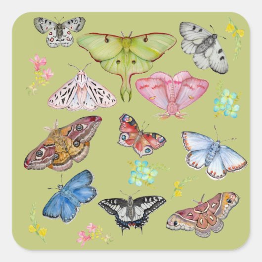 Sticker Carré Watercolor Butterflies in Flight (Devant)