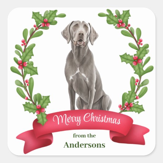 Sticker Carré Weimaraner Holly Banner Noël (Devant)