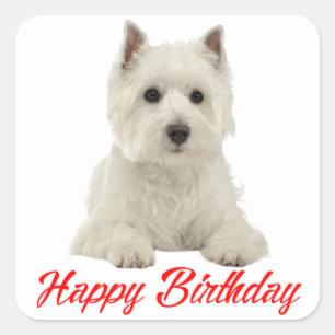 Sticker Carré West Highland Terrier Chien chiot Chien rouge Joye