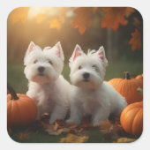 Sticker Carré West Highland White Terrier Chiot Citrouille d'aut (Devant)