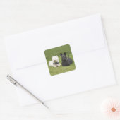 Sticker Carré Westie & Scottie Gazon Vert (Enveloppe)