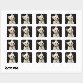 Sticker Carré Westie (West Highland terrier) avec col (Feuille)