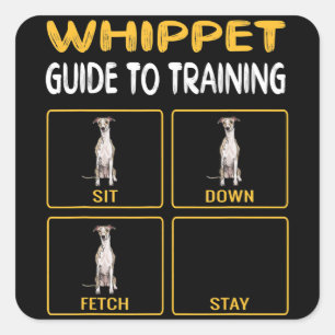 Sticker Carré Whippet Guide Pour L'Entraînement De L'Obéissance 