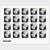 Sticker Carré White siamese Fighting Fish (Feuille)