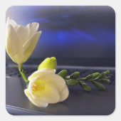 Sticker Carré White yellow freesia (Devant)