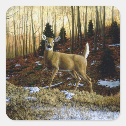 Sticker Carré Whitetail Deer Doe dans la forêt d'automne (Devant)
