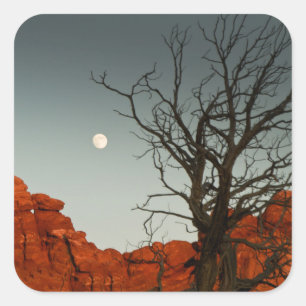 Sticker Carré Wicked Moon