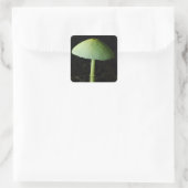Sticker Carré Wild Mushroom Photo  (Sac)