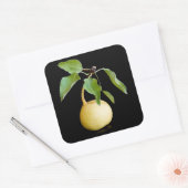 Sticker Carré Wild pear (Enveloppe)