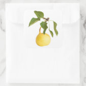Sticker Carré Wild pear (Sac)