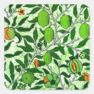 Sticker Carré William Morris Fruit exotique, Vert citron vert