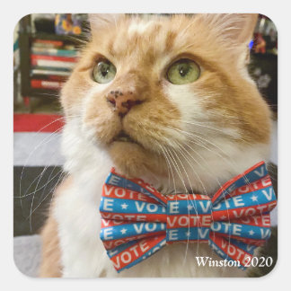 Sticker Carré Winston 2020