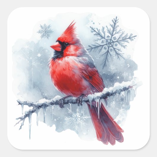 Sticker Carré Winter Cardinal with Snowflakes on Icy Branch (Devant)