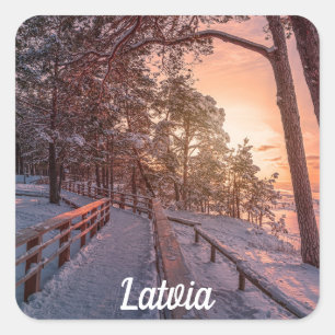 Sticker Carré Winter sunset in pine forest near sea