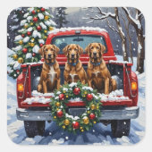 Sticker Carré Wirehaired Pointing Griffon Christmas Red Truck (Devant)