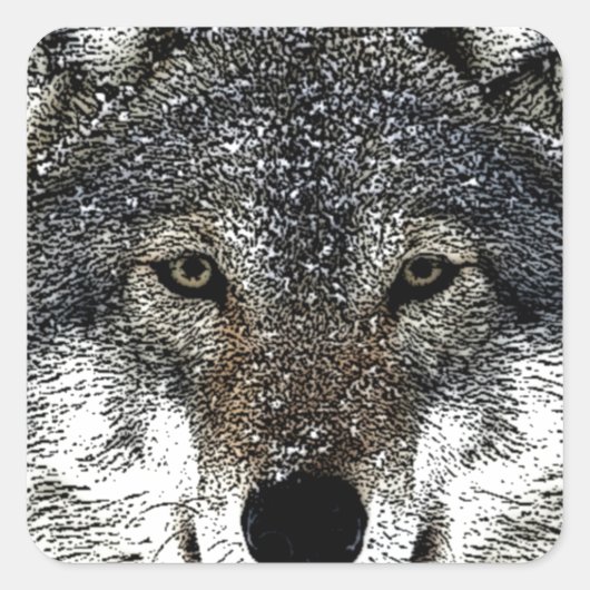 Sticker Carré Wolf Eyes (Devant)