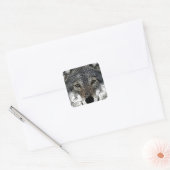 Sticker Carré Wolf Eyes (Enveloppe)