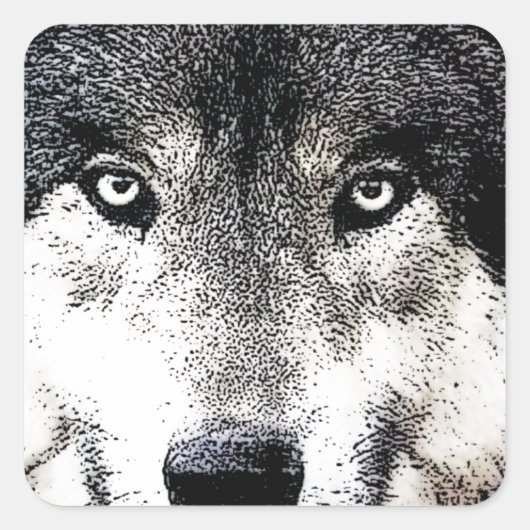 Sticker Carré Wolf Eyes (Devant)