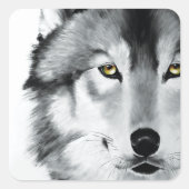 Sticker Carré Wolf Portrait noir blanc (Devant)