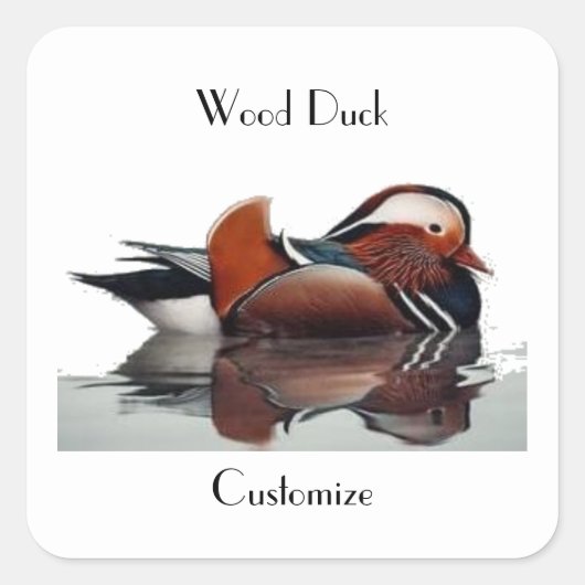 Sticker Carré Wood Duck (Devant)