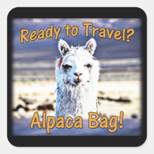 Sticker Carré World Traveler - Drôle sac Alpaca
