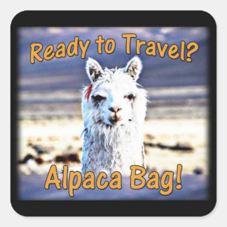 Sticker Carré World Traveler - Drôle sac Alpaca
