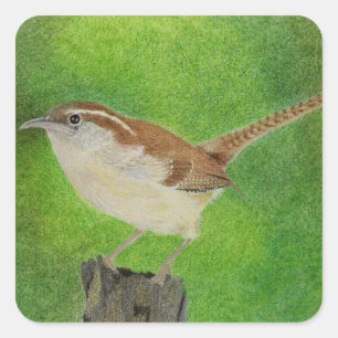 Sticker Carré Wren