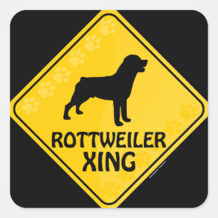 Sticker Carré Xian de Rottweiler
