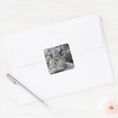 Sticker Carré Yawning Snow Leopard (Enveloppe)