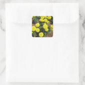 Sticker Carré Yellow Pompom Marigold Garden Plants (Sac)
