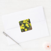 Sticker Carré Yellow Pompom Marigold Garden Plants (Enveloppe)