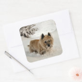 Sticker Carré Yeti (Enveloppe)