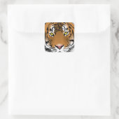 Sticker Carré Yeux de tigre (Sac)