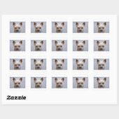 Sticker Carré yorkie désapprouvant (Feuille)