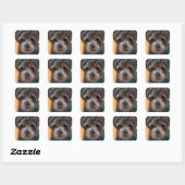 STICKER CARRÉ YORKIE POO (Feuille)