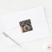 STICKER CARRÉ YORKIE POO (Enveloppe)