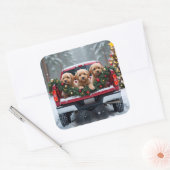 Sticker Carré Yorkipoo Christmas Red Truck Holiday Gift (Enveloppe)