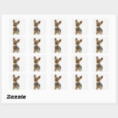 Sticker Carré Yorkshire Terrier (Feuille)