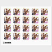 Sticker Carré Yorkshire Terrier (Feuille)