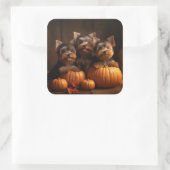 Sticker Carré Yorkshire Terrier Chiot Automne Citrouille délice (Sac)
