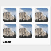 Sticker Carré Yosemite (Feuille)