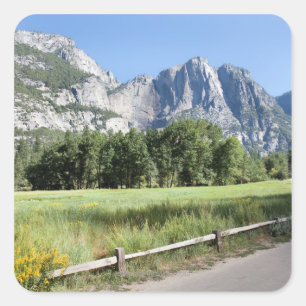 Sticker Carré Yosemite Valley Meadow, El Capitan, Staycation