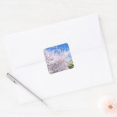 Sticker Carré Yoshino Cherry (Enveloppe)