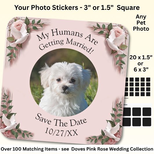 Sticker Carré Your Pet Photo, Save The Date, Pink Roses & Doves