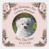 Sticker Carré Your Pet Photo, Save The Date, Pink Roses & Doves (Devant)